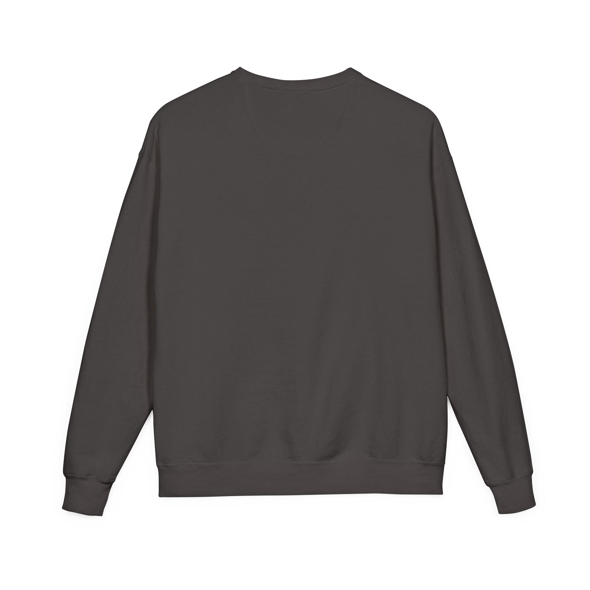 Jesus CAN Sweatshirt